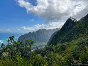 Quite the adventure ended with some neighborly homemade sorbet lt 3