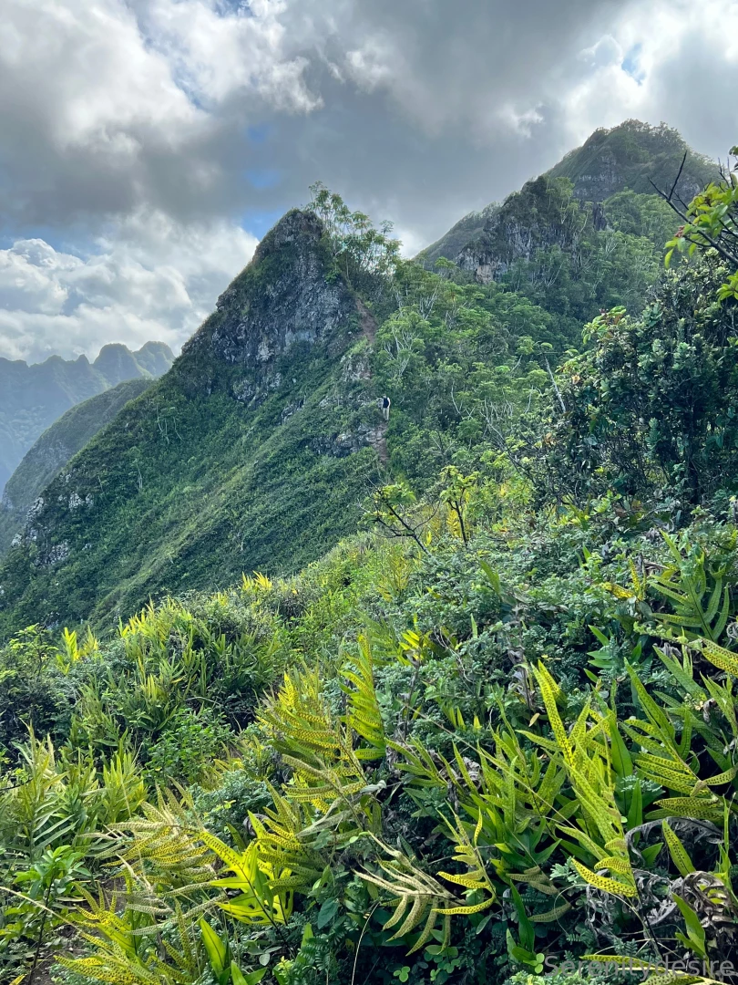 Quite the adventure ended with some neighborly homemade sorbet lt 3 part 1 