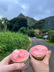 Quite the adventure ended with some neighborly homemade sorbet lt 3 part 3