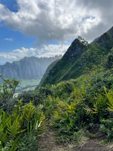 Quite the adventure ended with some neighborly homemade sorbet lt 3 part 5