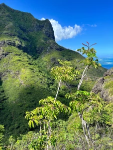 One of the greatest views i have ever seen part 7