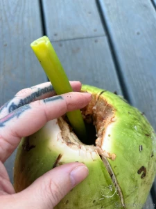 Take me back to o ahu part 1