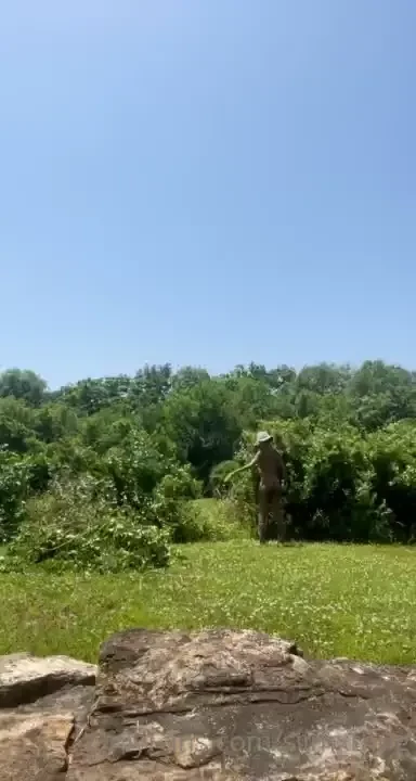 I am going to make me a nice garden after i trim these bushes when i 