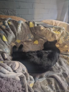 My four year old kitty went missing recently and the good news is we
