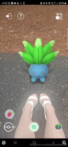 Hello there my adorable little forest dwellers i hope you all had a