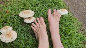 Spring is coming soon i can t wait to get back to warm dirty princess