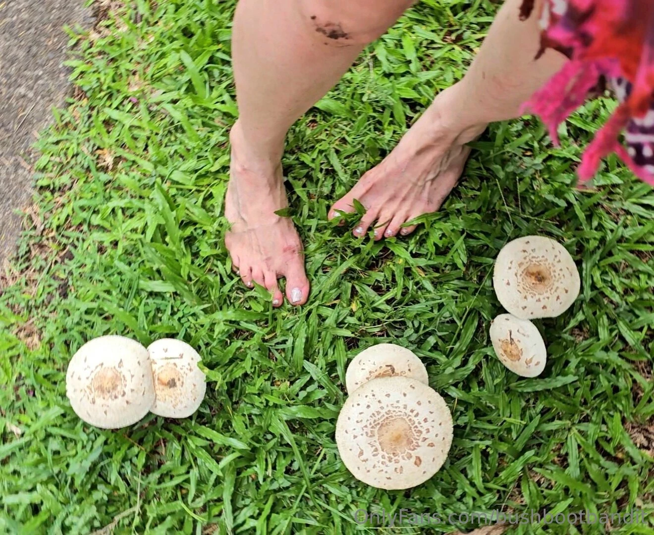 Spring is coming soon i can t wait to get back to warm dirty princess part 2 