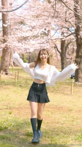 Cherry blossoms sakura in japan