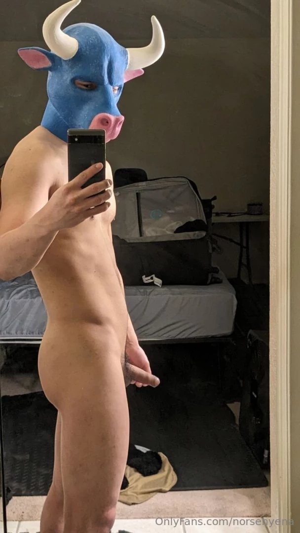 I m the owner of a new bull hood wearing him makes me rock hard more 