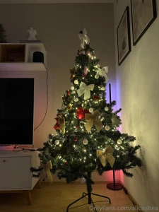 Christmas tree is ready