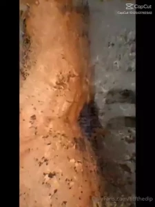 2hrs on live seem like min s with my favs be back tomorrow to spoil my