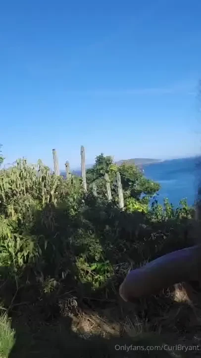 Bush looks great in the jungle 