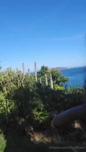 Bush looks great in the jungle