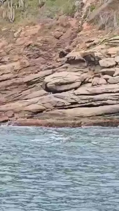 So many good spots for me to jerk off here will sure come back and 