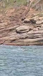 So many good spots for me to jerk off here will sure come back and