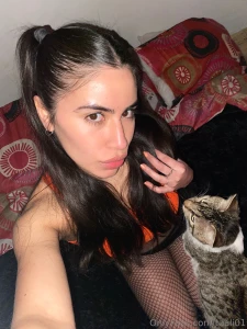 2 cats in the pic