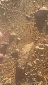 Jerking off and cumming on a local trail it was risky and i really had