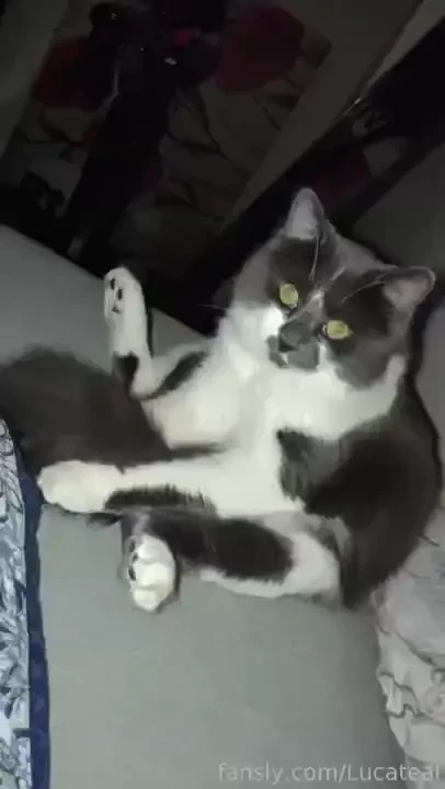 I need extra lovings also i offer my kitty in these trying times pussy part 2 