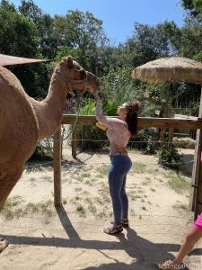 Would you let me ride it part 17