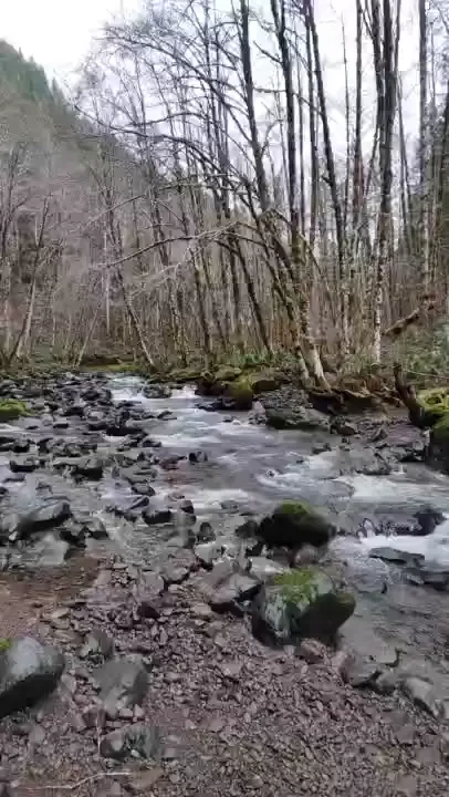 Don t forget to get out into nature this week i promise you won t 