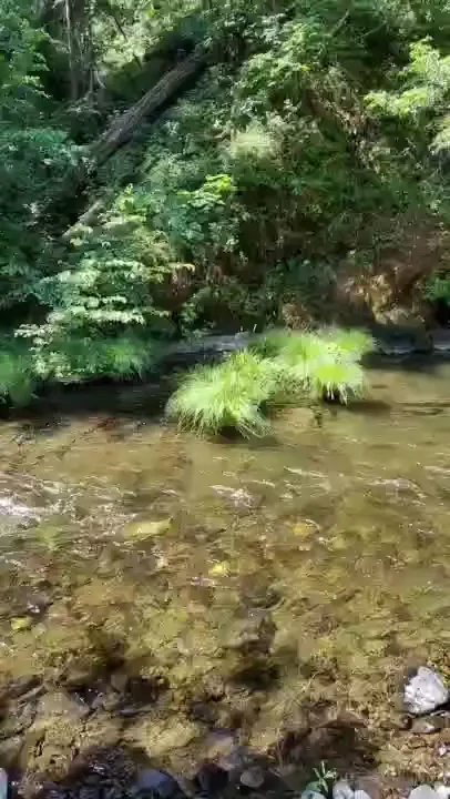 Nature checkpoint don t forget to spend some time with your feet in 