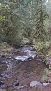 Just step on my throat already mother nature