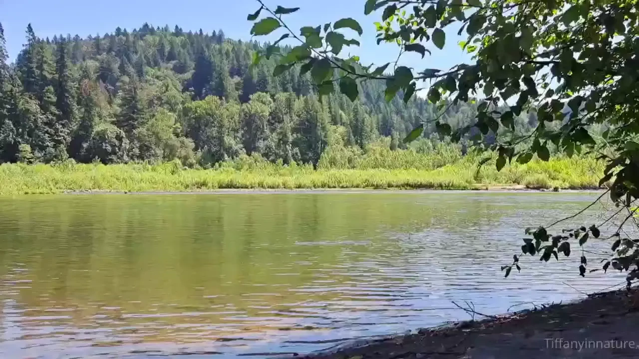 Have the best nature wednesday love don t forget to take a moment and 