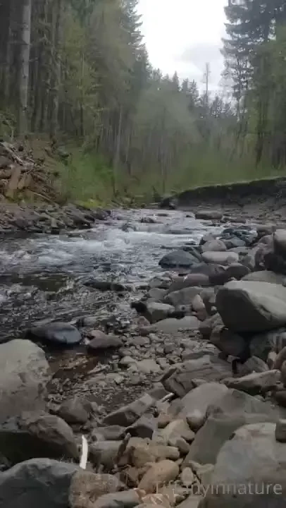 Don t forget to take a minute today to stop and take a deep breath in 