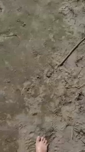 Take a walk down the beach with me i want to feel the sand between my