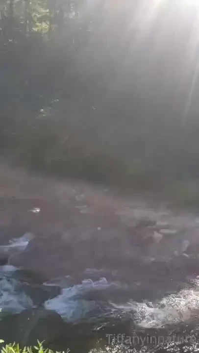 A moment of nature and peace for you this monday morning 