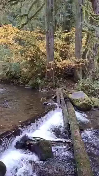 Can you believe the year is almost over don t forget to make space for 