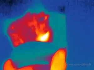 Covert kitty feeding this is about half of the cats i feed right now