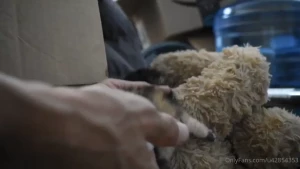 The strays i feed left me an unexpected gift i get to feed and try to