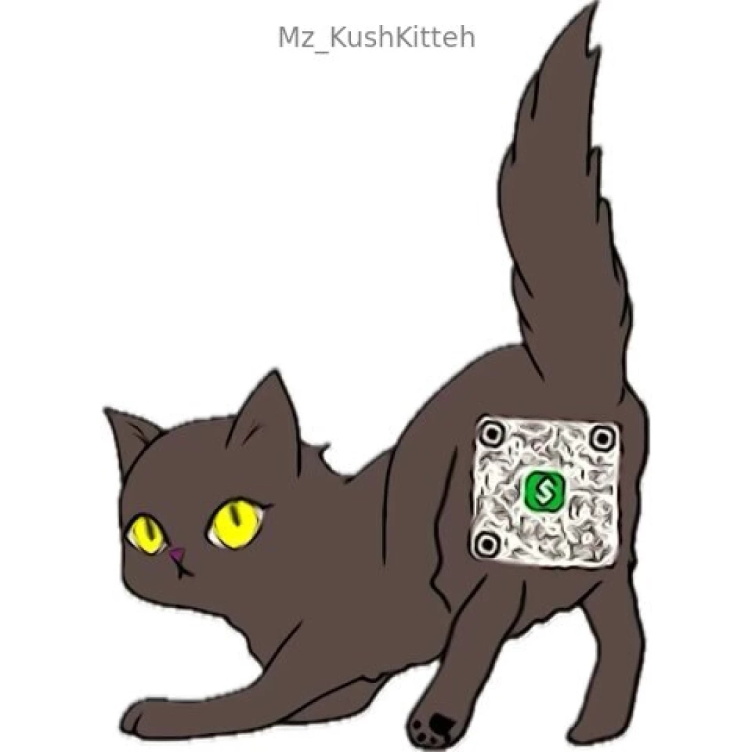 February shenanigans headed to sin city to play https linktr ee mz part 1 