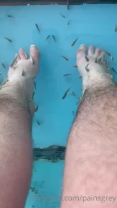 You re jealous of these fish huh