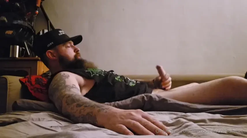 Delightful morning glory 