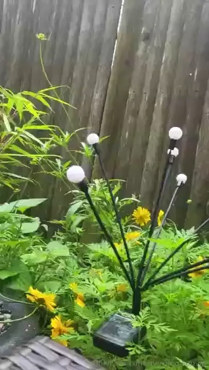 Just needed to show off my pretty flowers that are starting to pop up part 1 