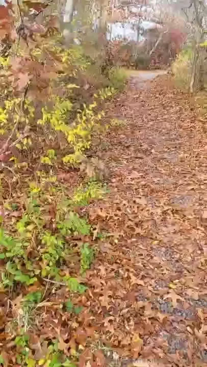 A little something from my day what s your favorite season mine is 