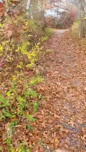 A little something from my day what s your favorite season mine is