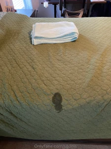 Had to wash the blanket after we fucked by the way i sent you the