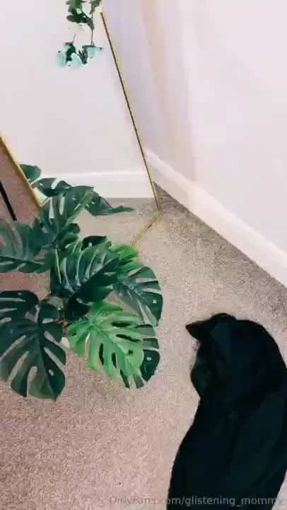 I m in the mood to dominate are you in the mood to submit 