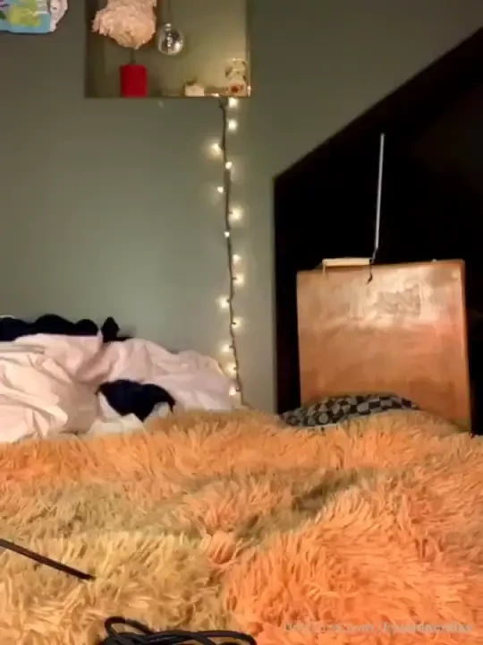 I thought this was on the wall already but i dont see it this was an 