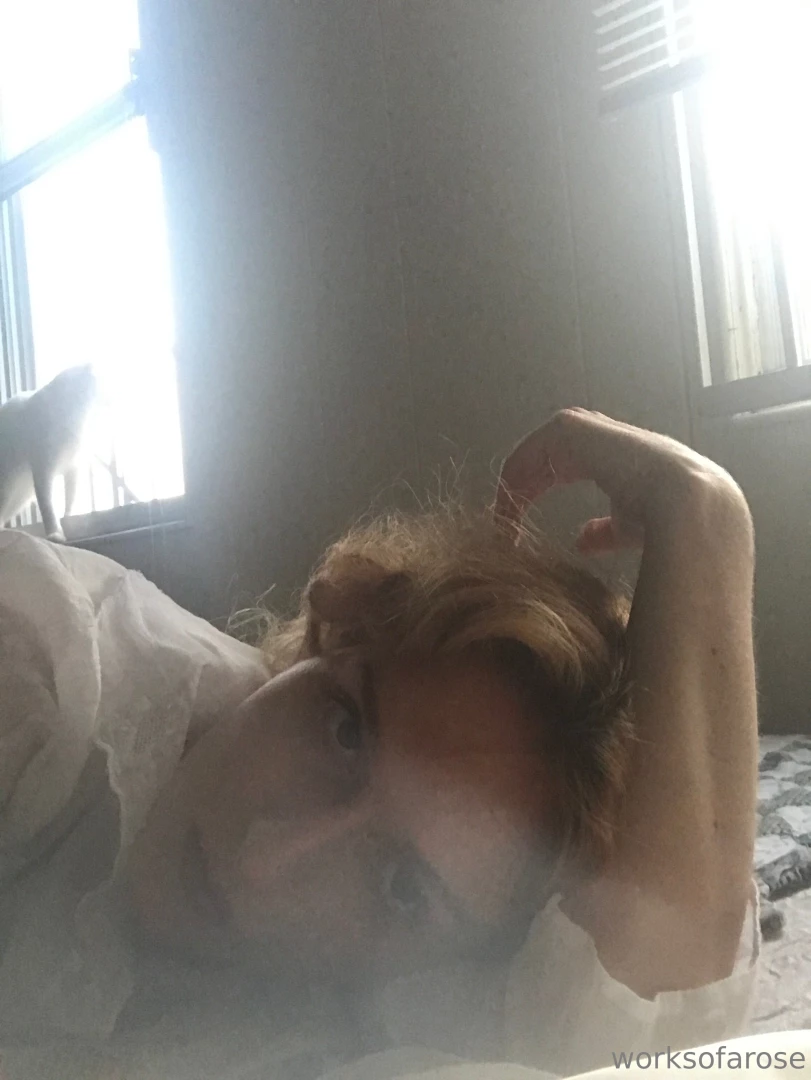 From the archive - 2017 and 2018 part 12 