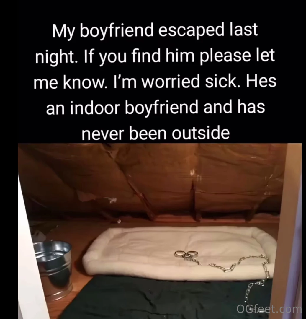 Here s the quarters i will put you 