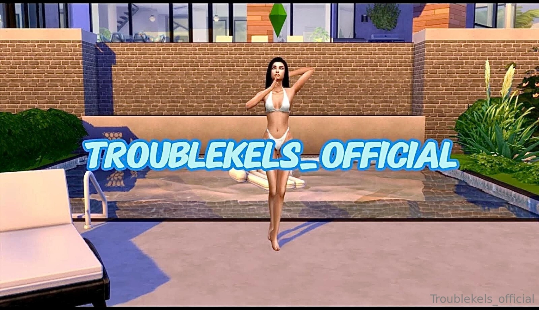 I just made my first sims sex tape using my sim and a guy that i call 