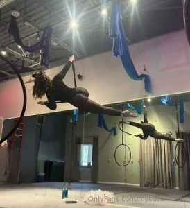 Cats love being high up didn t you know part 1