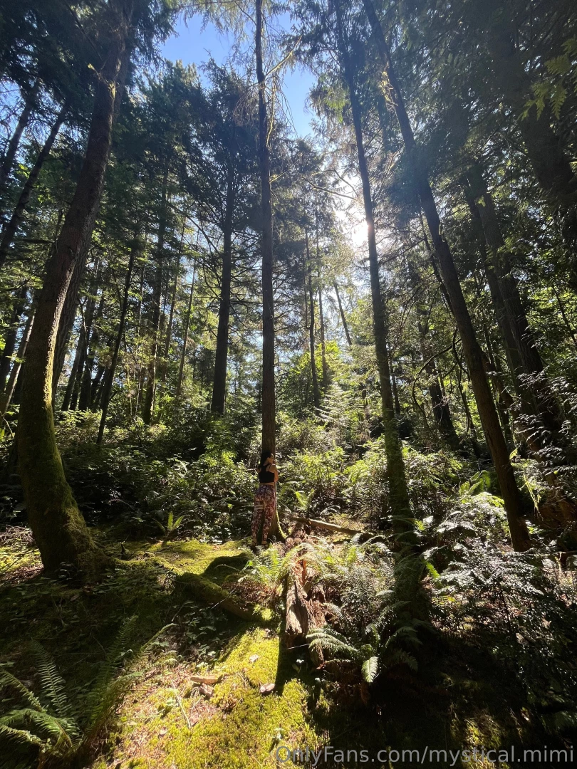 Nothing takes me out of the office brain quite like hugging a majestic 