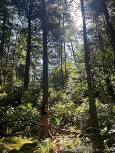 Nothing takes me out of the office brain quite like hugging a majestic part 1