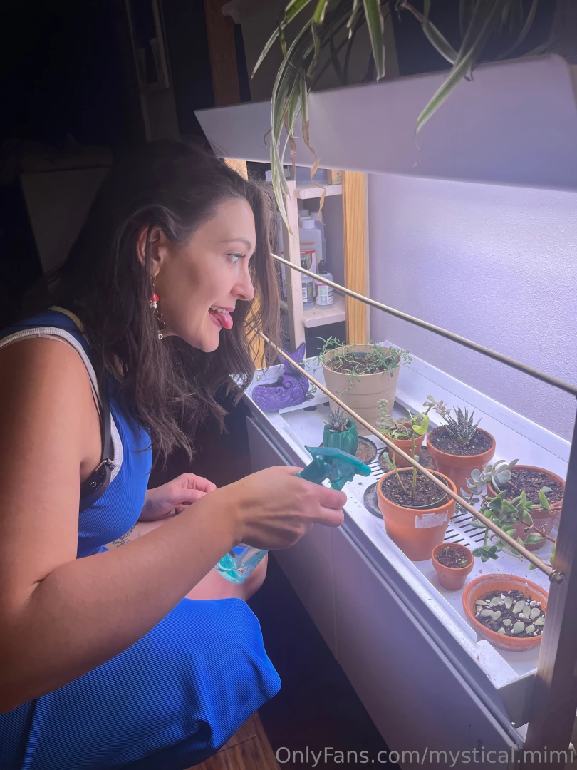 Taking care of some plant babies and also letting the cat-like 