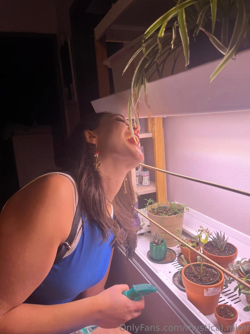 Taking care of some plant babies and also letting the cat-like part 2 